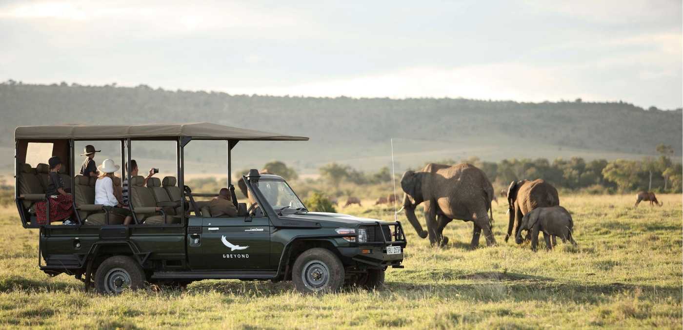 Elephant game drive in Kenya.
