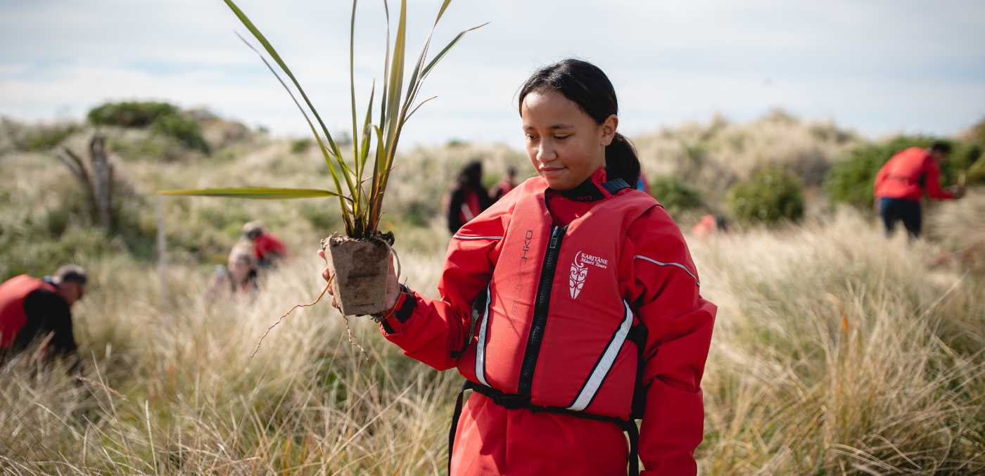 Planting trees on a Karitāne Māori Tour.