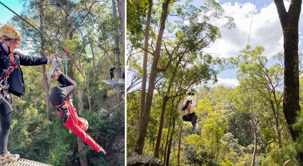 People zip lining through trees in the Gold Coast