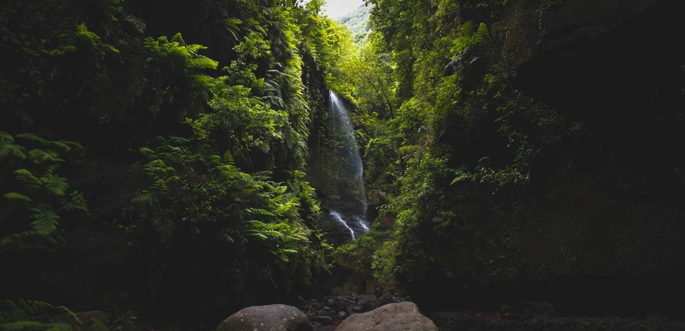 Los Tilos waterfall © David Monje/Unsplash