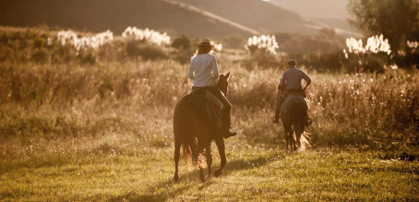 two people riding horses through long grass