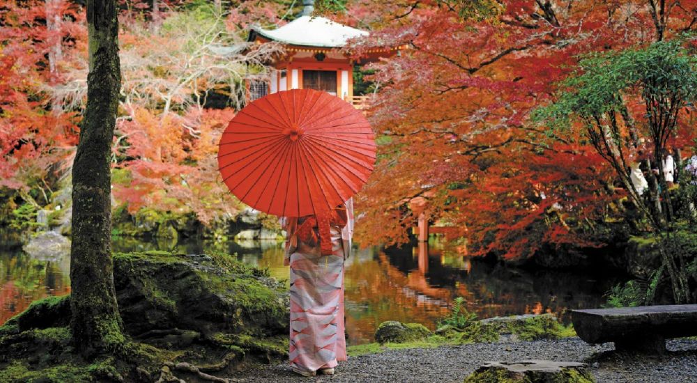 new voyages - woman in old fashion style wearing traditional or original Japanese dressed, stand alone in the middle of the village garden autumn park, japan old fashion style attractive in season change