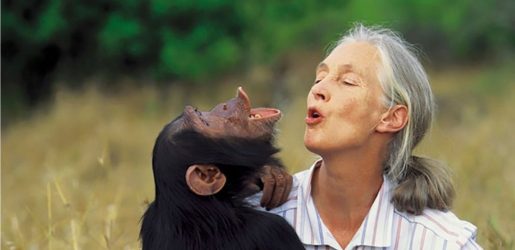 Jane Goodall with a money