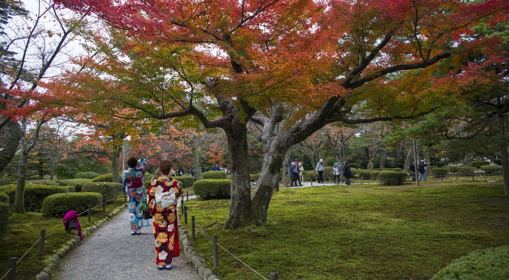 Kenrokuen Garden in Kanazawa Japan
