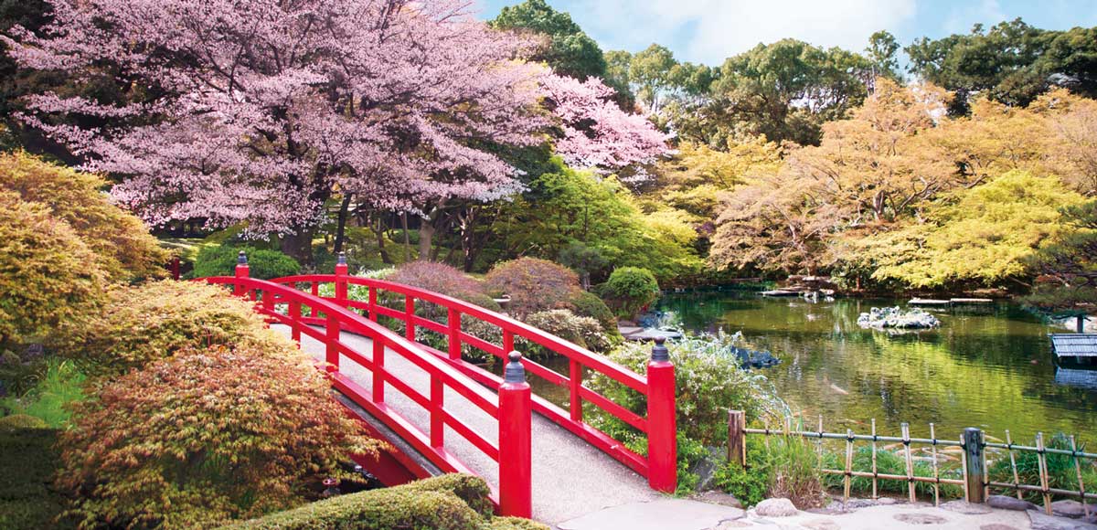 Japanese gardens in Spring