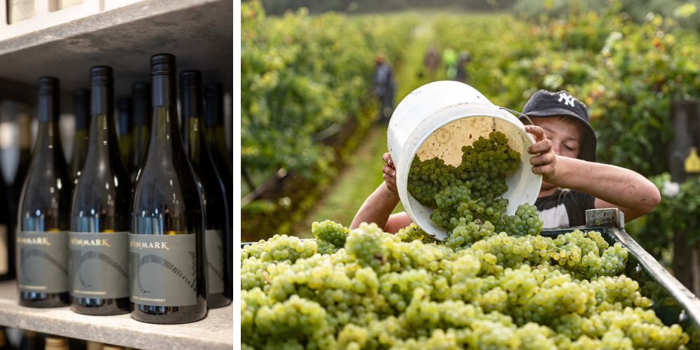 Producing Winmark Wines new Icon 7 2 Chardonnay 2021