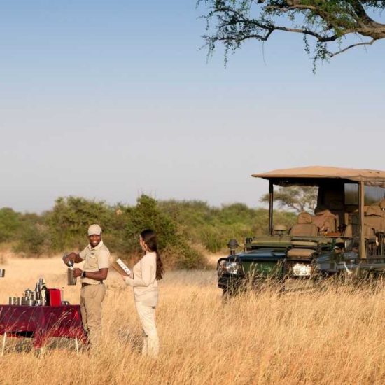Safari game drive in Tanzania