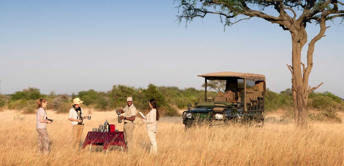 Safari game drive in Tanzania