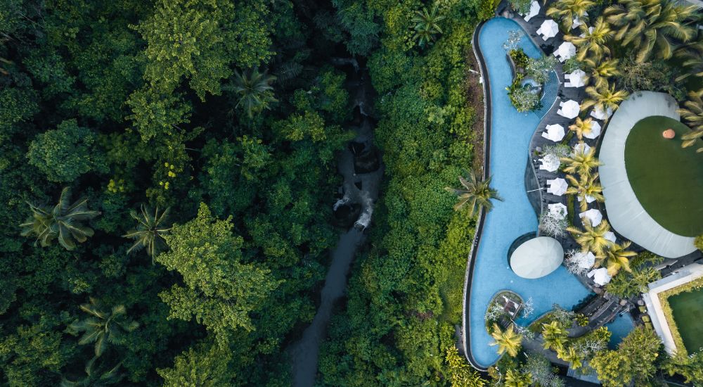 The Westin Resort Ubud Bali pool