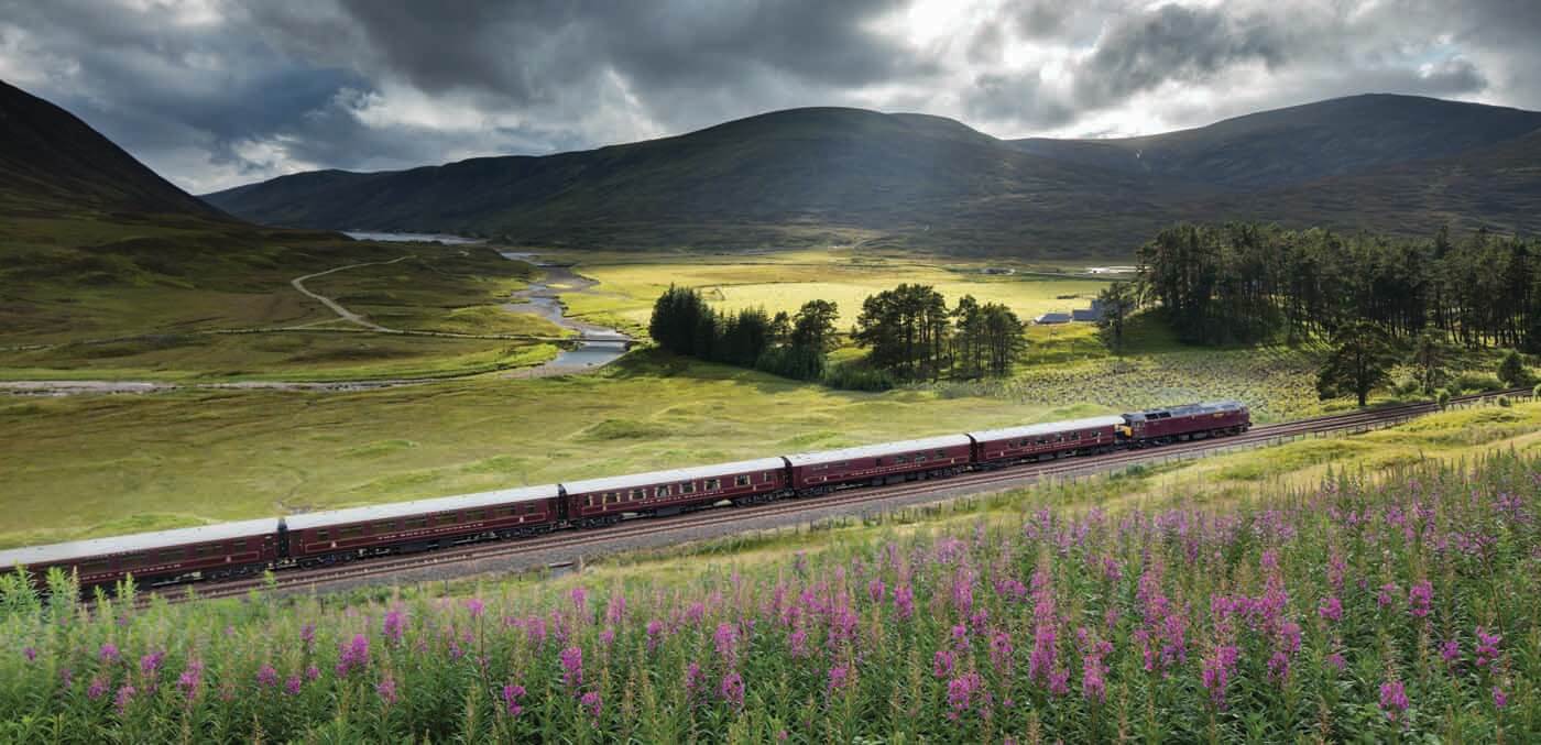 Train passing by lavender fields
