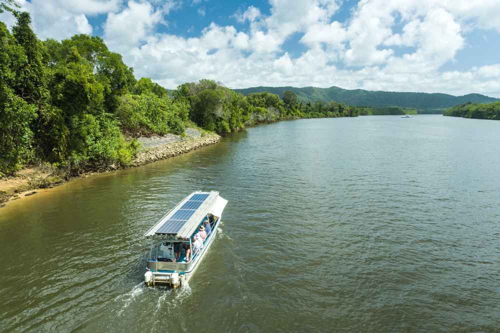 Solar Whisper Wildlife Cruises are the only zero-emission boats on the Daintree River